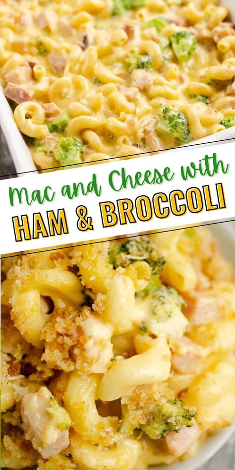 Leftover Macaroni, Mac And Cheese With Ham, Ham Mac And Cheese, Delicious Mac And Cheese, Ham And Broccoli, Ham Broccoli, Taco Mac And Cheese, Holiday Leftovers, Ham Casserole