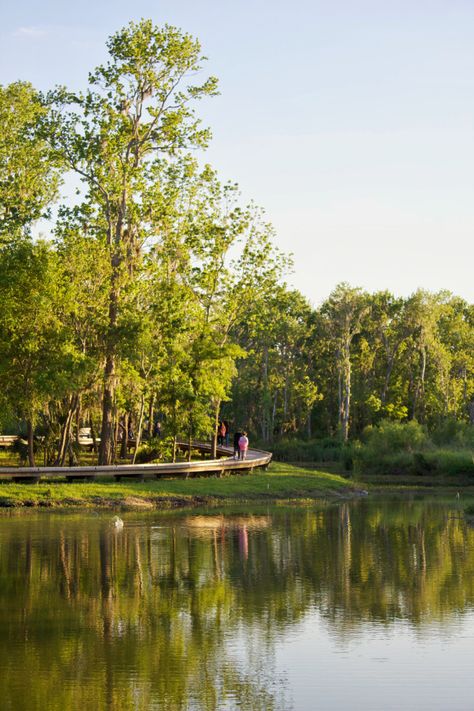 Lake Landscape Design, Charles Goodyear, Wetland Park, Center Park, Lake Landscape, Memorial Park, River Walk, Walk In The Woods, Landscape Design