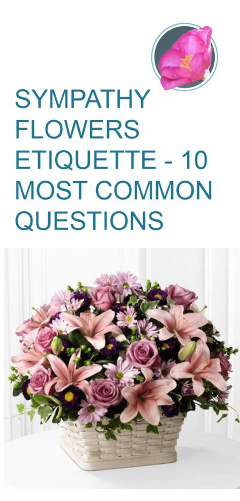 Everything you need to know about sending sympathy flowers.  Which flowers, where, what when and more.  We make it easy to send your condolences. Sympathy Plant Arrangements, Sympathy Flowers Arrangements, Sympathy Floral Arrangements, Condolences Flowers, Sympathy Flower Arrangements, Bereavement Flowers, Condolence Flowers, Sympathy Floral, Sympathy Plants