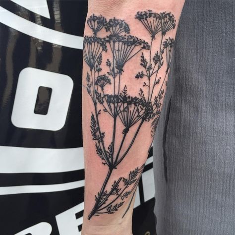 Some super cute yarrow from last week 😍 #yarrow #yarrowtattoo #tattoo #blackandgrey #blackandgreytattoo #blackworkers #pnw #plant… Yarrow Flower Tattoo, Oregon Tattoo, Written On The Body, Plant Tattoos, Yarrow Plant, Yarrow Flower, Sacred Heart Tattoos, Thigh Piece, Plant Tattoo