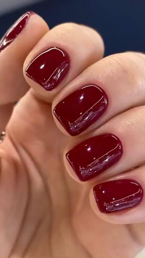 inst @buraya_beauty_dp in 2022 | Nails, August nails, Work nails Cranberry Nails, Nails Maroon, Deep Red Nails, 2022 Nails, Wine Nails, Maroon Nails, Milky Nails, Nails Gold, Nails Homecoming