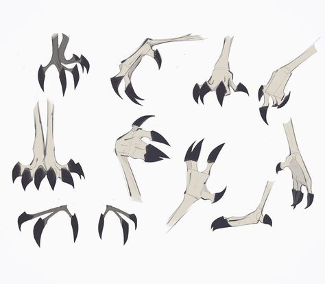 Ave on Instagram: “#sketches #study #hands #claws #draw #aveartz” Bird Claw Reference, Hooved Legs Reference, How To Create A Fursona, Bird Feet Drawing Reference, Bird Feet Reference, Bird Feet Drawing, Monster Body Base, Bird Claws, Animal Paws