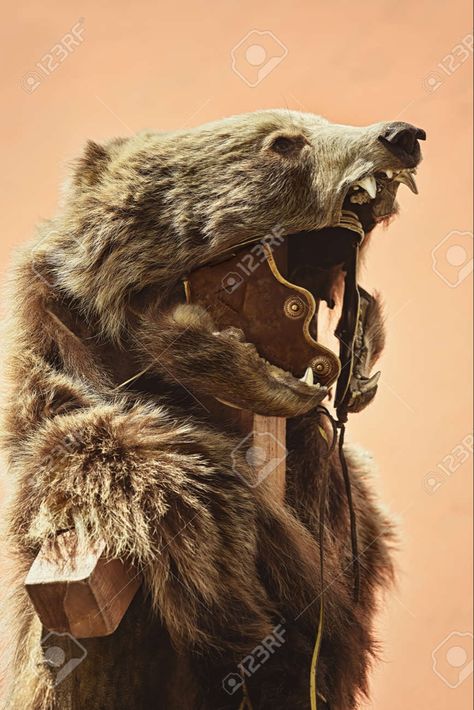 Bear Pelt Cloak, Wolf Pelt Cloak, Bear Cloak, Wolf Pelt, Bear Pelt, Viking Bear, Reference Photos, Character Designs, Art References