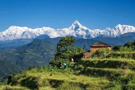 Nepali Culture, Mountain Painting Acrylic, Road Nature, Mount Everest Base Camp, Nepal Culture, Himalayas Mountain, Lions Photos, Banana Art, Mountain Painting