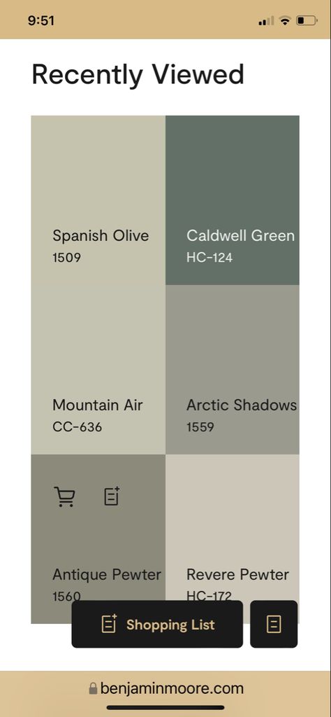 Olive Green Coordinating Colors, Revere Pewter And Green, Greens That Go With Revere Pewter, Caldwell Green, Revere Pewter, Green Cabinets, Paint Colours, Antique Pewter, Green Paint