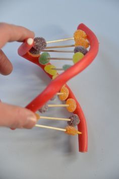 Dna Model Project Ideas, Dna Model Project, Sweets Easy, Edible Science, Dna Activities, Dna Facts, Science Birthday Party Ideas, Dna Project, Mad Scientist Party