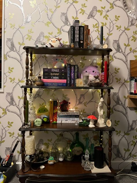 Antique wooden, shelf
candles,books, fairy lights, mushrooms, room aesthetic,glass bottles, statues, dark academia , bookshelf aesthetic Nick Nack Shelf Ideas, Slender Mansion, Nick Nacks, Donna Tartt, Op Shop, Black King, Mansion, Bedroom Ideas, Shelves