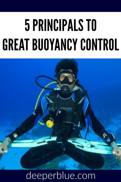 Scuba Steve, Scuba Equipment, Boat Living, Sea Diving, Scuba Diving Equipment, Best Scuba Diving, Scuba Gear, Water Safety, Free Diving