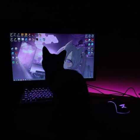 Discord Gaming Pfp, Cat Pfp For Discord, Cat On Keyboard, Cat Keyboard, Keyboard Cat, Small Room Setup, Cute Kitten Pics, Sassy Cats, Cat Banner