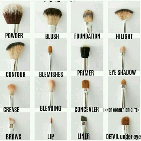 Types Of Makeup Brushes, Makeup Brush Uses, Membentuk Alis, Bentuk Alis, Brush Guide, Mekap Mata, Makeup Order, Makeup Brushes Guide, Makeup Tip