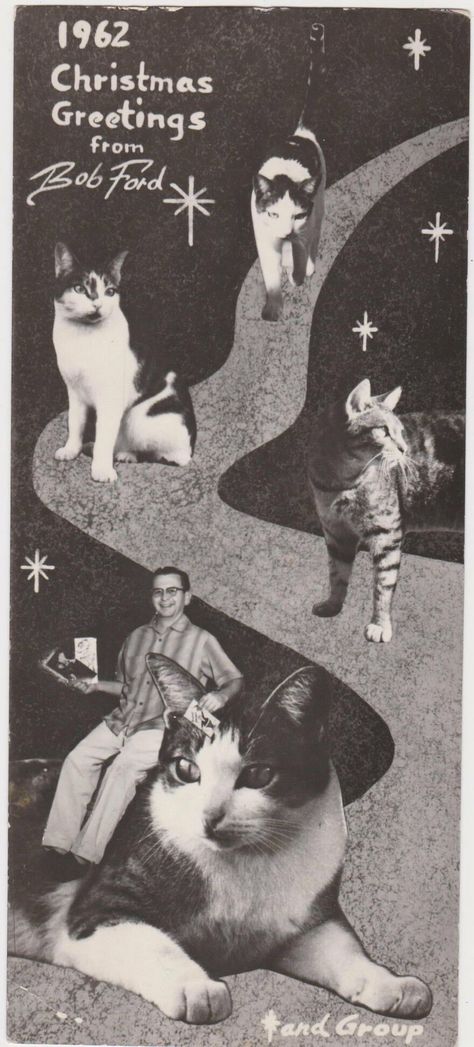 Bob Ford And His Cats, 1962 Holiday Cards Family, Family Holiday Cards, Vintage Holiday Cards, Family Christmas Cards, Homemade Christmas Cards, Family Pets, Funny Christmas Cards, Holiday Greeting, Cat Cards