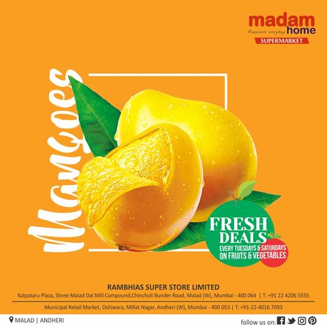 People welcome the summer season despite the scorching heat just to enjoy the delicious summer fruit- #mango. #Mangoes are found in abundance only in the summer season. It is a well-liked fruit and hence it is also known as the ‘King of #fruits’. Grab #bestdeals #freshdeals on #freshvegetables and #freshfruits every Tuesdays and Saturdays. #freshdeals @MadamHome #supermarket located at Malad and Andheri. Like our page to get updates on weekly #MadamHomeOffers #FreshDeals #VegetablesOffers Fruits Advertising Design, Fruit Poster Design Ideas, Mango Poster Design, Mango Creative Ads, Fruit Advertising, Mango Poster, Mango Kulfi, Fruit Mango, Digital Advertising Design