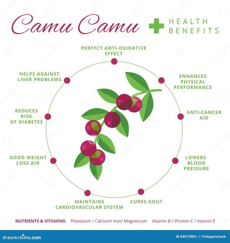 Health Care Aide, Nutrition Infographic, Camu Camu, Easy Chicken Curry, Healthy Work Snacks, Snacks For Work, Video Games For Kids, Health Breakfast, Health Eating