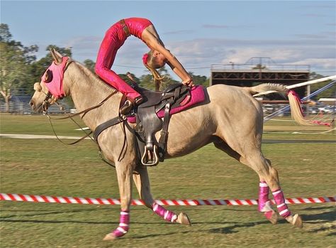 Horse trick riding pictures | the show is a fast paced adrenaline rush on horseback accompanied Trick Riding Saddle, Vaulting Equestrian, Horse Vaulting, Trick Riding, Horse Dressage, Horse Tips, Most Beautiful Animals, Equestrian Riding, Horse Show