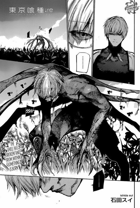 Tokyo Ghoul manga Kakuja Tokyo Ghoul, Read Tokyo Ghoul, Manga Tokyo Ghoul, Tokyo Ghoul Manga, Touka Kirishima, Tokyo Ghoul Kaneki, Tokyo Ghoul Anime, Creepy Art, Manga Pages