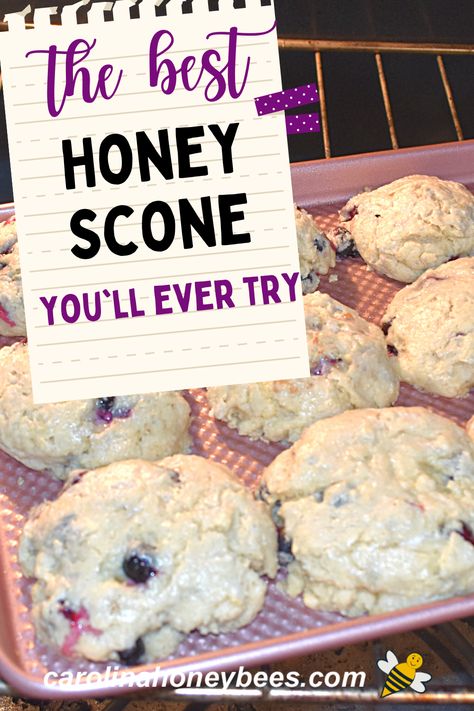 Easy and delicious - this honey scone with blueberries is almost too good to eat. Yes, you can bake your own scones at home and freeze them to enjoy later. #carolinahoneybees Honey Scones Recipe, Easy Honey Recipes, Honey Scones, Sweet Scones, Blueberry Scones Recipe, Honey Uses, How To Make Scones, Types Of Honey, Southern Biscuits