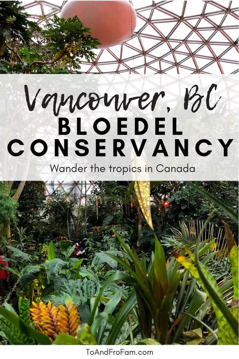 What To Do In Vancouver, Bloedel Conservatory, Vancouver Things To Do, Vancouver Vacation, Tofino British Columbia, Rainy Day Activity, Kelowna British Columbia, Vancouver Travel, Canada Road Trip