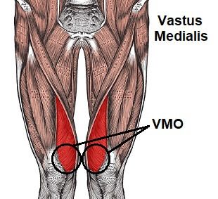 Vastus Medialis Exercises, Vastus Medialis, Knee Stability, Knee Pain Relief Exercises, Bad Knee Workout, Knee Strength, Quad Muscles, Sports Physical Therapy, Knee Strengthening Exercises