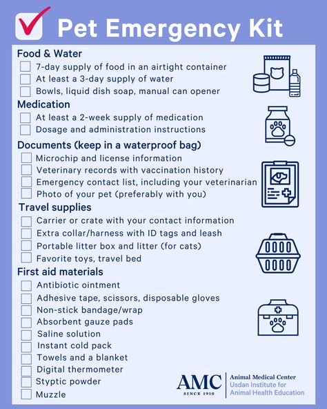 Emergency Kit Checklist, Pet Emergency Kit, First Aid Kit Checklist, National Preparedness Month, Family Emergency Plan, Emergency Contact List, Emergency Prepardness, Emergency Bag, Travel Supplies