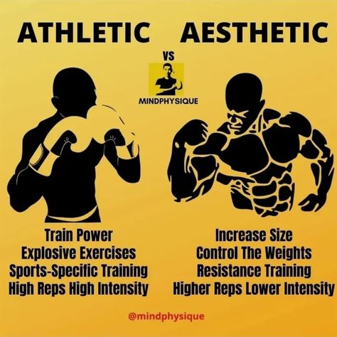 Assassins Workout, Vs Aesthetic, Aesthetic Training, Fighter Workout, Explosive Workouts, Hiit Workout Routine, Gym Workout Guide, Workout Program Gym, Workout Routine For Men