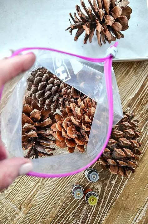 Scented Pinecones, Pinecone Crafts Christmas, Sweet Gum, Pine Cone Art, Diy Pinecone, Pinecone Crafts, Stylish Bed, Cone Crafts, Cinnamon Essential Oil