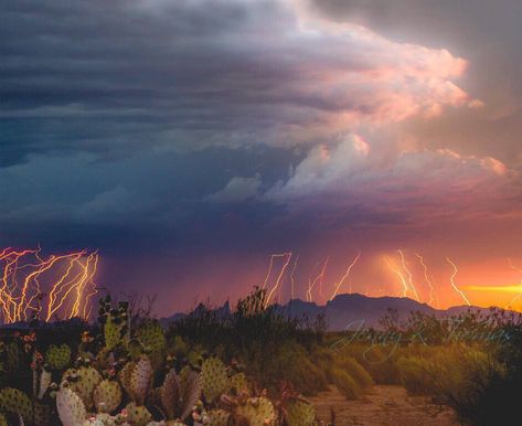 Each year there are so many amazing photographs captured in New Mexico. Find out which images were the most popular in 2016! Lightning Photos, Lightning Photography, Popular Images, Fine Art Landscape Photography, Scenic Photos, Southwest Desert, Land Of Enchantment, Lightning Strikes, Photography Website