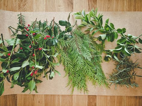 Christmas Decorations Natural, Holly And Ivy, Holly Bush, Christmas Foliage, Holly Decorations, Wreaths Diy, Diy Garland, Christmas Holly, Christmas Wreaths Diy