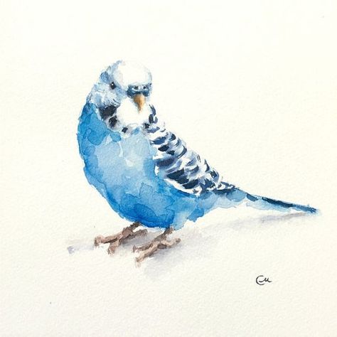 Parakeet Art, Sennelier Watercolor, Bird Watercolor Art, Bird Painting Acrylic, Watercolor Paintings Of Animals, Bird Watercolor Paintings, Flower Drawings, 강아지 그림, Watercolour Inspiration