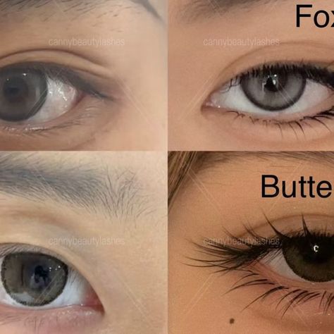 Anime Lashes, Eye Structure, Beauty Lash, Eye Contour, Eye Shape, Lash Artist, Matches Fashion, Eye Shapes, Lash Extensions