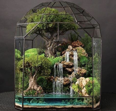 Carnivorous Plants Terrarium, Indoor Nature, Water Terrarium, Aquascaping Ideas, Unique Terrarium, Plants Terrarium, Terrarium Garden, Terrarium Centerpiece, Aquascape Design