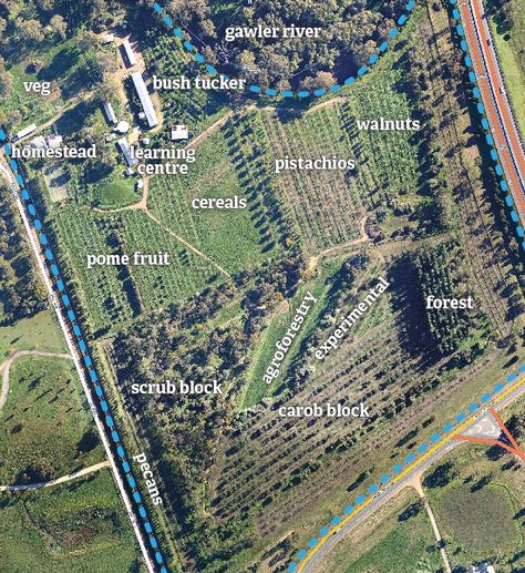 aeriallayout Homestead Layout 5 Acres, Farm Layout 10 Acres, 5 Acre Homestead Layout, Permaculture Farm, Farm Plans, Farm Layout, Permaculture Gardening, Permaculture Design, Market Garden