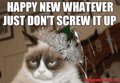 30 Funny New Year Memes & New Year's Eve Quotes To Start The Year Off Right Funny New Years Memes, Grumpy Cat Meme, New Years Eve Quotes, New Year Meme, Cat Celebrating, Funny New Year, Grumpy Cat Humor, Angry Cat, Cat Quotes