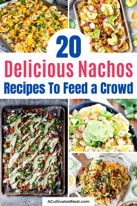 Different Types Of Nachos, Home Made Nachos, Basic Nachos Recipe, Best Nacho Recipe, Nachos Recipes, Nachos Cheese Recipe, How To Make Nachos, Easy Nachos, Homemade Nachos