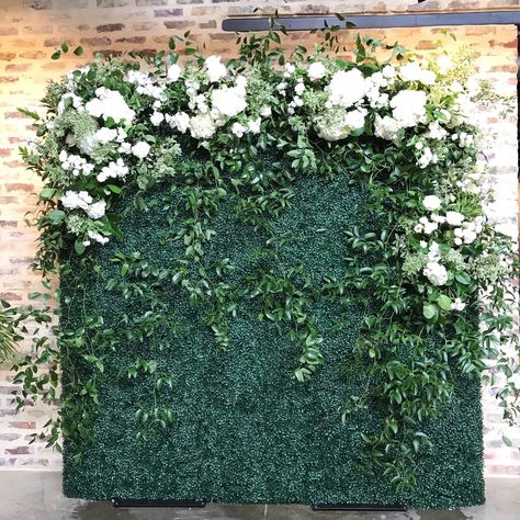 Luxury Weddings - Flower Shack Blooms | Flower Shack Blooms Wedding Backdrop Wall, Boxwood Backdrop, Simple Beach Wedding, Flower Backdrop Wedding, Backdrop Wall, Flower Wall Wedding, Camera Angles, Flower Wall Backdrop, Backdrop Wedding