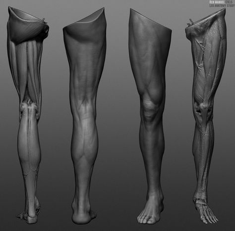 https://www.artstation.com/artwork/2LkVK Zbrush Anatomy, Leg Reference, 남성 근육, Leg Anatomy, Human Muscle Anatomy, Human Legs, Drawing Legs, Man Anatomy, Anatomy Sculpture