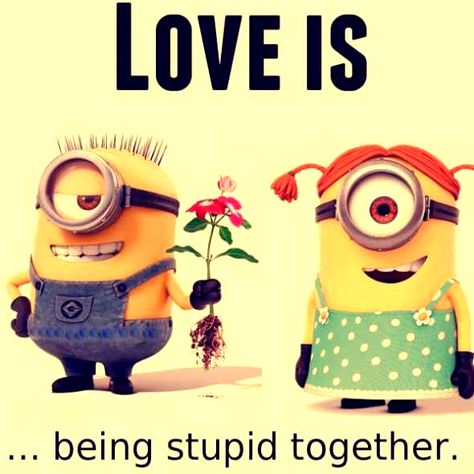 Despicable Me Quotes, Minion Love Quotes, Cute Minion Quotes, Minions Humor, Funny Minion Memes, Minion Pictures, Minion Jokes, Minions Love, Cute Minions