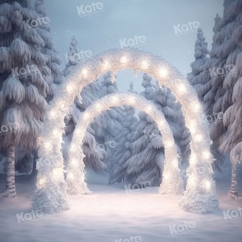 Kate Winter Night Snow Outdoor Arch Backdrop for Photography Winter Wonderland Ball Decorations, Frozen Office Decorations, Winter Wonderland Photoshoot Ideas, Winter Prom Theme, Winter Parade Float, Snowball Decorations, Winter Wonderland Balloon Arch, Winter Wonderland Photo Booth, Winterwonder Land