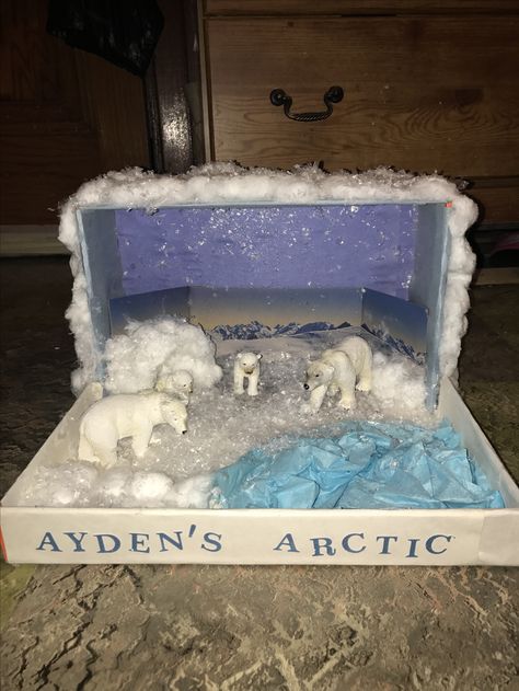 Arctic Diorama ❄️ Polar Bear Diorama, Bear Diorama, Polar Bear Diy, Polar Bear Habitat, Shoe Box Diorama, Penguins Project, Arctic Habitat, Biomes Project, Diorama Kids