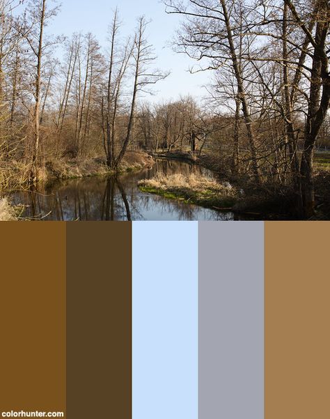 Early Spring Color Palette, Color Schemes Spring, Spring Palette, Spring Color Palette, Color Schemes Colour Palettes, Spring Landscape, Spring Color, Family Pics, Colour Palettes