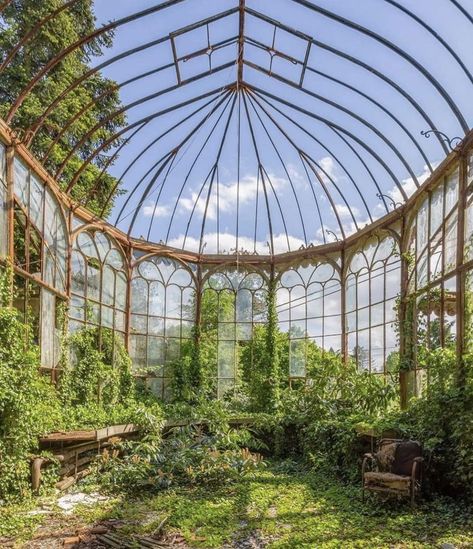 Greenhouse Aesthetic, Victorian Greenhouse, Victorian Greenhouses, Greenhouses, Glass House, Beautiful Tree, Abandoned Places, Botanical Gardens, Garden Art