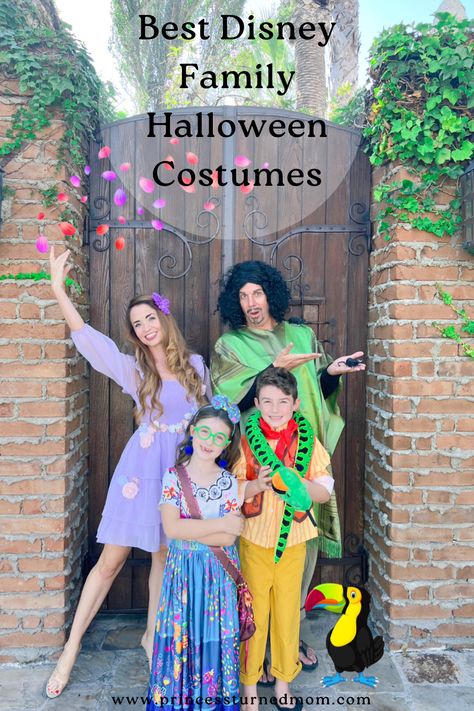 Lots of great Disney Family Halloween themed costumes. From Encanto, to Star Wars, to Avengers and so much more! Family Disney Costume, Encanto Family Costume, Encanto Halloween Costumes, Disney Family Halloween Costumes, Encanto Family, Disney Family Costumes, Themed Costumes, Princess Halloween Costume, Disney Theme Party