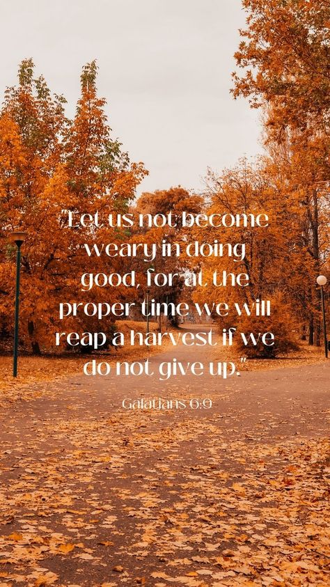 Faith Fall Backgrounds, Bible Verse Autumn Background, Fall Season Bible Verse, September Christian Quotes, Fall Biblical Quotes, Christian Fall Letterboard, Scripture With Fall Background, Bible Verse With Fall Background, Christian Sayings For Fall