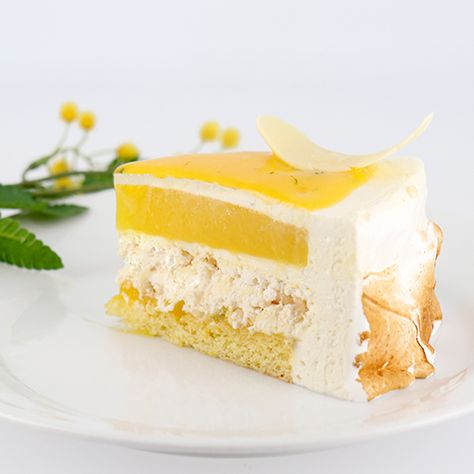 Entremets citron meringué - Cerfdellier le Blog White Chocolate Mousse Cake, Dessert Gourmet, Mousse Dolce, White Chocolate Mousse, Mousse Dessert, Torte Cupcake, Art Pics, Gourmet Desserts, Chocolate Mousse Cake