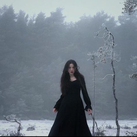 Winter Goth, Dark Beauty Fashion, Photography Moodboard, Feels Like Home, Winter Photoshoot, Romantic Goth, Winter Photo, Gothic Aesthetic, Witch Aesthetic