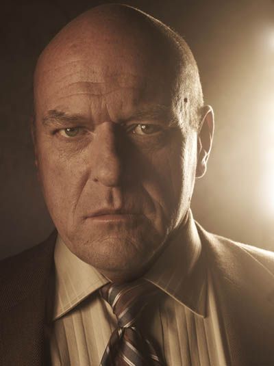 Hank Breaking Bad, Breaking Bad Season 5, Hank Schrader, Breaking Bad Seasons, Bad Pick Up Lines, Breaking Bad 3, Dean Norris, Walter White, Great Tv Shows