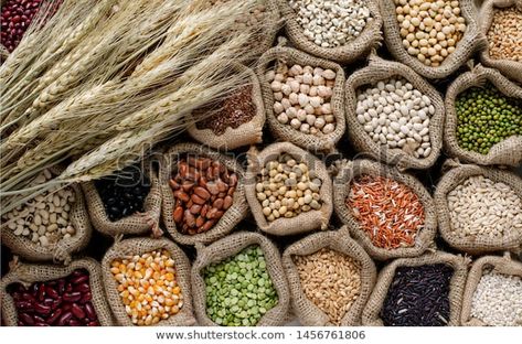 Find Variety Kinds Natural Organic Cereal Food stock images in HD and millions of other royalty-free stock photos, illustrations and vectors in the Shutterstock collection. Thousands of new, high-quality pictures added every day. Cereal Food, Organic Cereal, Types Of Cereal, Dried Wheat, Food Stock, Carbohydrates Food, Cereal Recipes, Quality Pictures, Organic Recipes