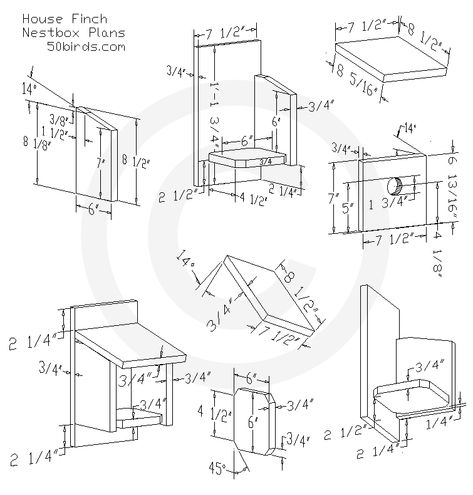 House Finch Birdhouse Plans Traditional Birdhouse, Finch Bird House, Woodworking Beginner, Birdhouse Plans, How To Build Abs, Bird House Plans Free, Finch Bird, House Finch, Squirrel Feeders