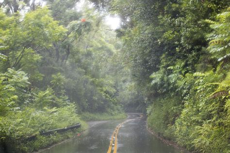 What To Do on a Rainy Day in Hawaii | Hawaii Magazine Satellite Video, Hawaii Magazine, Vacation Itinerary, Munnar, On A Rainy Day, Hill Station, Hawaii Island, Rainy Season, Disney Resort