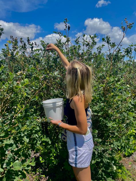 Picking Blueberries Aesthetic, Blueberry Farm Aesthetic, Blueberry Field Photoshoot, Blueberry Picking Pictures, Blueberry Picking Photoshoot, Blueberry Picking Aesthetic, Blueberry Picking Outfit, Blueberry Girl Aesthetic, Blueberry Patch