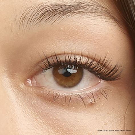 Very Light Eyelash Extensions, Light Natural Eyelash Extensions, Small False Lashes, Very Natural Lash Extensions, Doe Eye Lash Extension, Korean Lash Extensions, Light Lash Extensions, Doe Lashes, Korean Eyelashes